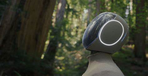 Redwood AI: Mobility