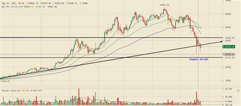 Crypto Price Today: Bitcoin Price Stays Unchanged Despite Small Gain, Profits Return to Crypto Chart - Gadgets 360
