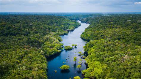 Drones, New Sensors, and AI Fill in Species Gaps on the Global Map of Life