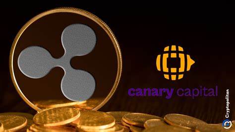 Krypto News: Jetzt auch noch SUI - Canary beantragt neuen Krypto Spot ETF
