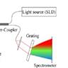 High-speed fluorescence light field tomography of whole freely moving organisms