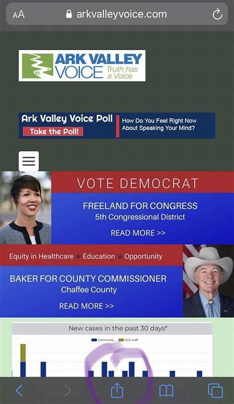 Musk Gains Access to the Data of Millions of Americans - The Ark Valley Voice