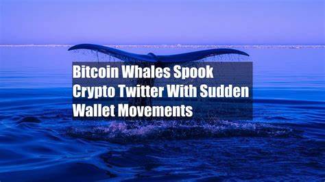 Bitcoin Whales Spook Crypto Twitter With Sudden Wallet Movements - CoinDesk