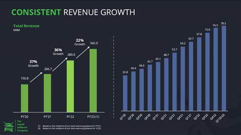 Is JFrog Ltd. (FROG) the Unstoppable Growth Stock to Invest in Now?
