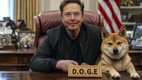 After His Trump Blowup, Musk May Be Out. But Doge Is Just Getting Started