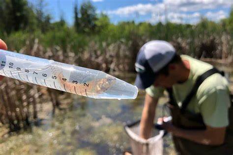 Michigan triples waters with 'Do Not Eat' warning for PFAS in fish