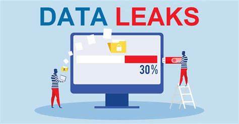 Don't Let a Data Leak Sink Your Project