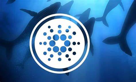 Cardano: A Coiled Spring? Whales Accumulate, Price Rebound