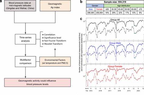 Potential influence of geomagnetic activity on blood pressure fluctuations