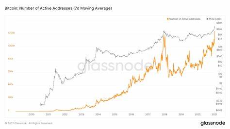 Bitcoin Hits 132K Active Addresses as Price Surpasses $100,000