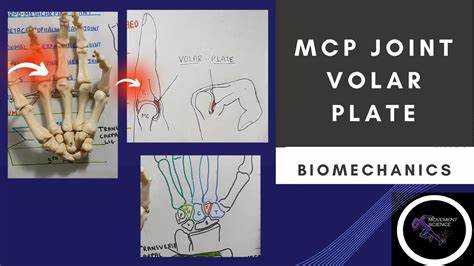 MCP Seems Viral