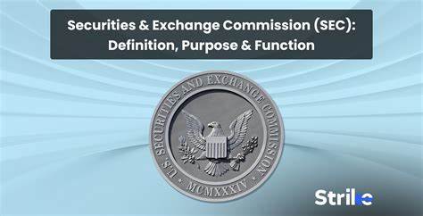  Securities laws go beyond simple definitions — SEC Commissioner 