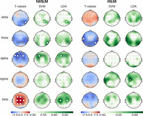 Caffeine induces age-dependent brain complexity and criticality during sleep