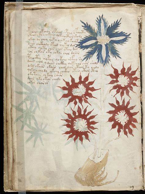 Transliteration of the Voynich Manuscript