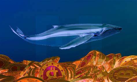 MicroStrategy Makes Another Bitcoin Whale Purchase Worth $243 Million - Blockzeit