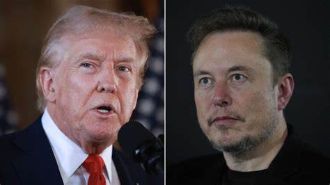 AVAX Surges 6% After Musk-Trump Dispute Sell-Off