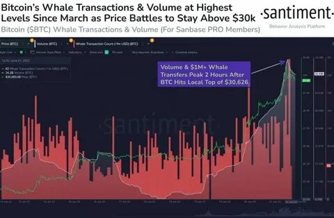 Bitcoin Whales Spotted Buying $3.3 Billion BTC as Prices Hit 30-Day Low - FX Empire