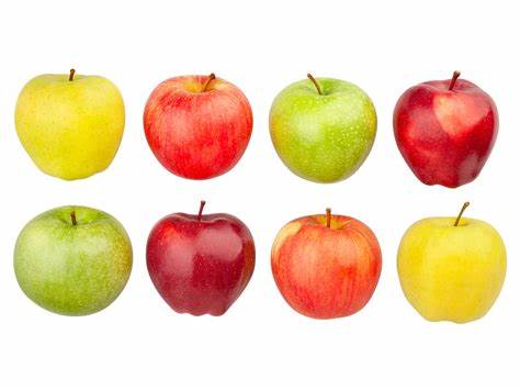 How do you like them apples? Apple genus evolution revealed