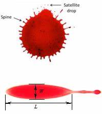 Blood droplets on inclined surfaces reveal new cracking patterns