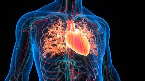 Cannabis use could double risk of heart deaths, study suggests