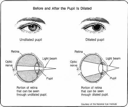 Pupil dilation can reveal the accuracy of your memories