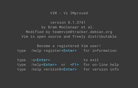 Some Facts About Vim