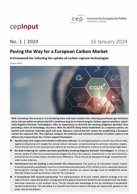 Investing in trust is crucial for a well-functioning European carbon market