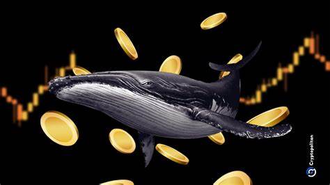 Ethereum whales are buying up DeFi tokens after the market dip