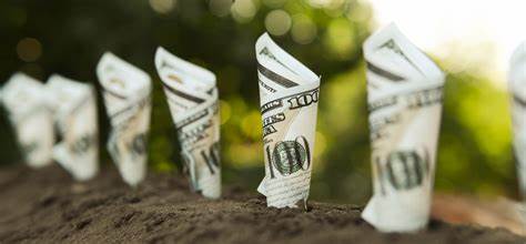 2 No-Brainer Dividend Stocks to Buy With $2,000 Right Now