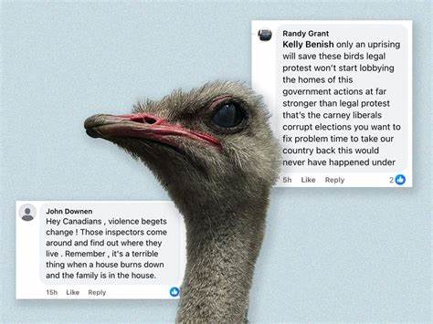 How A Canadian Ostrich Farm Sparked a Far-Right Crusade