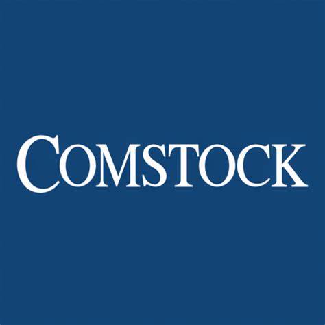 Why Comstock Holding Co Inc (CHCI) Is Surging In 2025