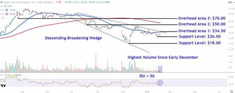 Watch These Supermicro Price Levels as Stock Drops on Slashed Outlook