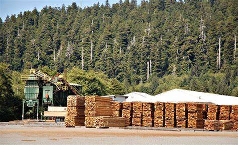 Hub launches new insurance product for Canada’s forestry industry