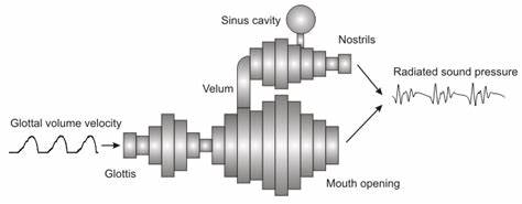 VocalTractLab Towards high-quality articulatory speech synthesis