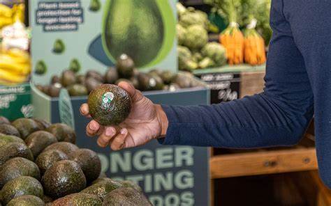 A new technology for extending the shelf life of produce