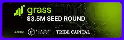 Grass Could Be the Next Project Listed on Binance?