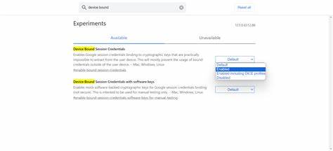 Chrome Origin Trial: Device Bound Session Credentials