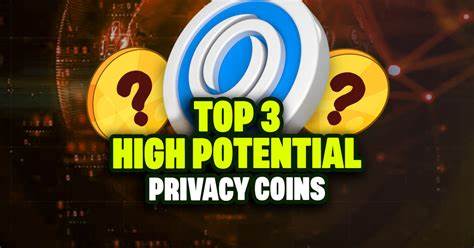Top 3 High Potential Privacy Coins - Altcoin Buzz