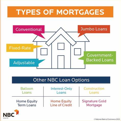 Government home loans: Definition, types, and requirements
