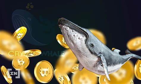 Bitcoin-Wale ziehen unglaubliche 2,3 Milliarden US-Dollar von den Börsen ab. Ist es Zeit zu kaufen? - NewsBTC
