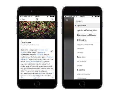 Show HN: I made a Wikipedia mobile app, but scrollable and AI summarized