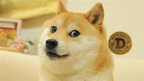Was ist Dogecoin und warum hat Reddit ihn im Jahr 2021 wieder populär gemacht? - Die Prahlerei
