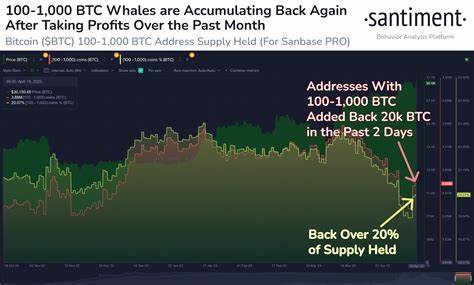 20,000 BTC Purchased in Just 2 Days by Whales: How Will Bitcoin’s Price React?