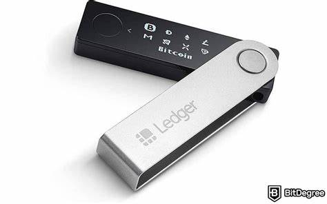 Ledger Nano X Review 2024: Must-Read Before Buying! - Coin Culture