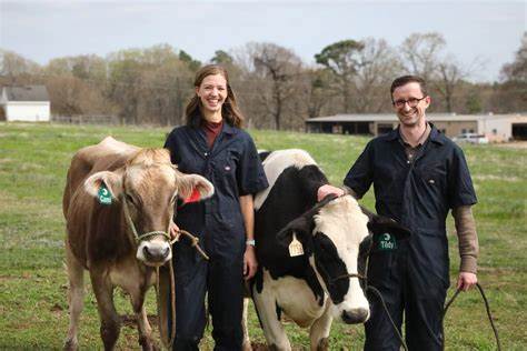Hoofprint Biome boosts cow nutrition while slashing methane burps