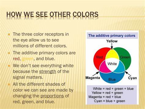 What Is Blue and How Do We See Color? (2015)