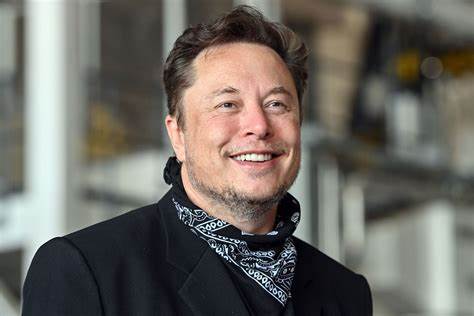 Elon Musk supports Trump and Dogecoin via his Department of Govt Efficiency - Cryptopolitan