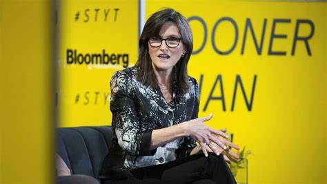 Tesla ist ihr Meisterstück: Cathie Wood, die Königin der Wall Street