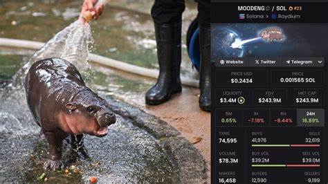 Moo Deng Memecoin User Turns Rs 1 Lakh Into Rs 100 Crore In Just 17 Days