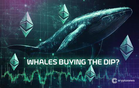 Ethereum Price Down After 40% Surge, Whales Buy Dip Amid Organic Accumulation